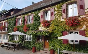 Hotel Du Haut Koenigsbourg- Entre Vignes Et Chateau